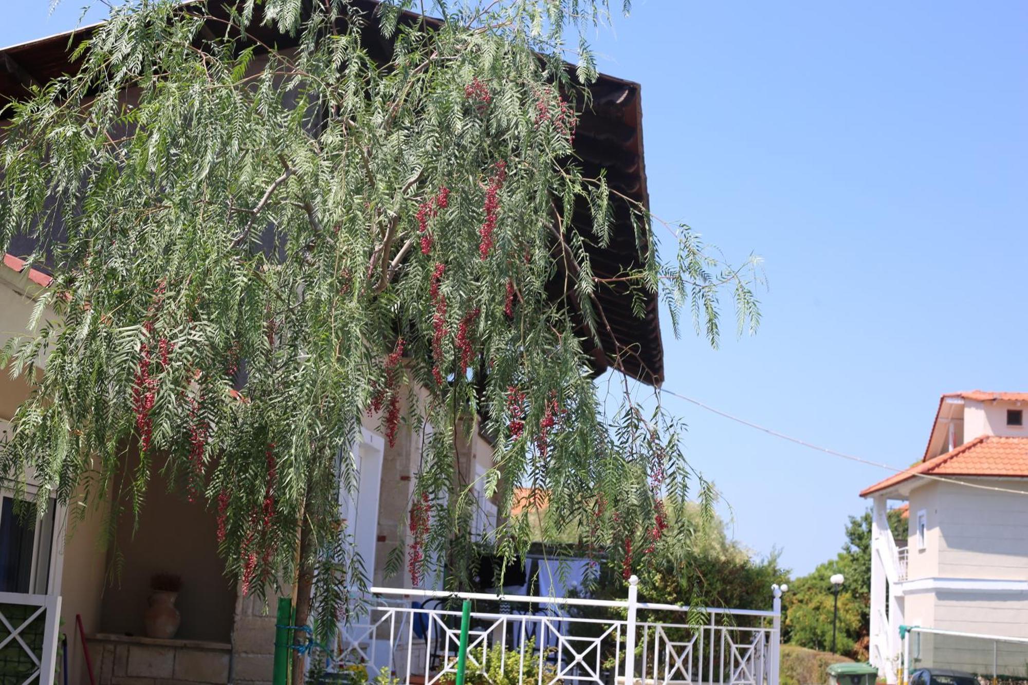 Golden Residence Family Resort 佩科霍里 外观 照片